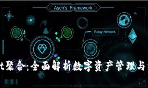 tpWallet聚合：全面解析数字资产管理与综合应用