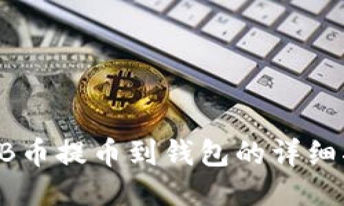 SHIB币提币到钱包的详细指南