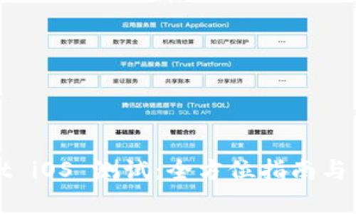 tpWallet iOS 测试：全方位指南与实用技巧