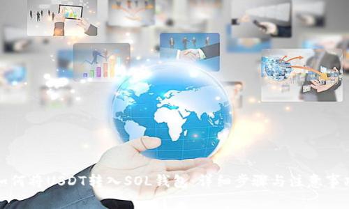 如何将USDT转入SOL钱包：详细步骤与注意事项