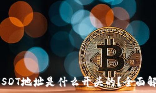   
Web3钱包收USDT地址是什么开头的？全面解析及使用指南