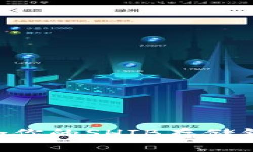 如何选择适合你的SHIB存储钱包：全面指南