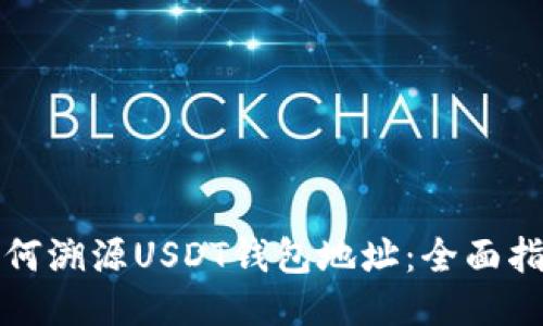 如何溯源USDT钱包地址：全面指南