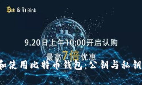  如何选择和使用比特币钱包：公钥与私钥的深度解析