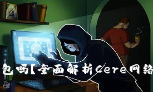 cere支持以太坊钱包吗？全面解析Cere网络与以太坊的兼容性