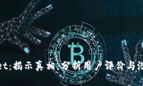 tpWallet：揭示真相，分析用户评价与潜在风险