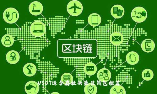 USDT适合存放的最佳钱包推荐