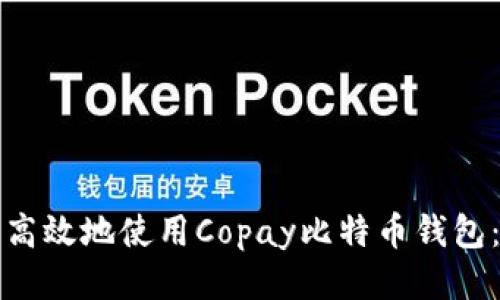 如何安全高效地使用Copay比特币钱包：全面指南