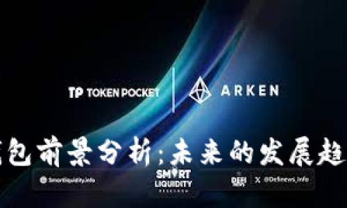 比特币钱包前景分析：未来的发展趋势与挑战