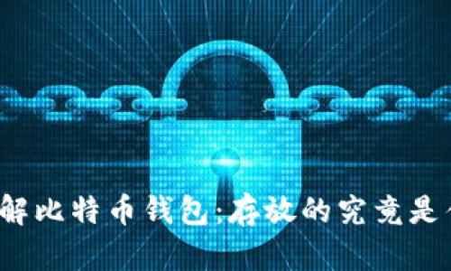 深入了解比特币钱包：存放的究竟是什么币？