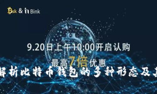 全面解析比特币钱包的多种形态及其特点