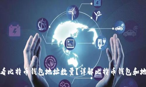 如何查看比特币钱包地址数量？详解比特币钱包和地址管理