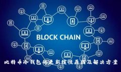 比特币冷钱包的更新缓慢原因及解决方案