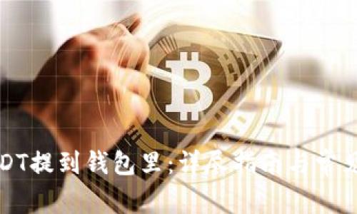 如何将USDT提到钱包里：详尽指南与常见问题解答