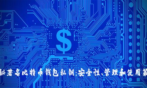 揭秘著名比特币钱包私钥：安全性、管理和使用策略