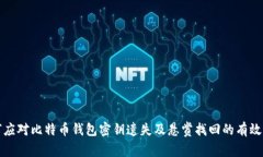 如何应对比特币钱包密钥