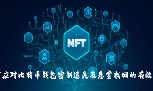 如何应对比特币钱包密钥遗失及悬赏找回的有效方法