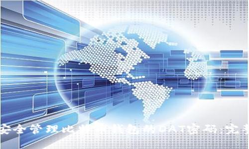 如何安全管理比特币钱包的DAT密码：完整指南