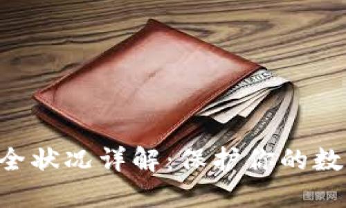 Trust钱包最新安全状况详解：保护你的数字资产不再是难题