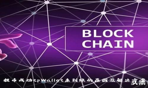 提币成功tpWallet未到账的原因及解决方案