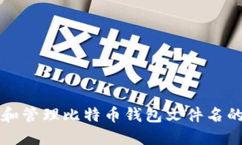 如何选择和管理比特币钱包文件名的最佳实践