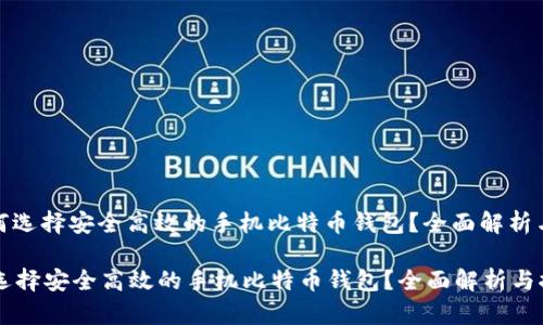 : 如何选择安全高效的手机比特币钱包？全面解析与推荐

如何选择安全高效的手机比特币钱包？全面解析与推荐