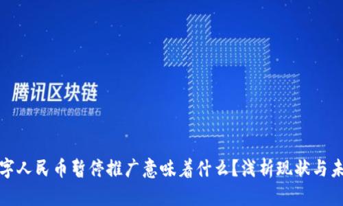 数字人民币暂停推广意味着什么？浅析现状与未来
