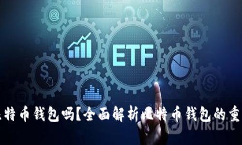 必须下载比特币钱包吗？全面解析比特币钱包的重要性与选择